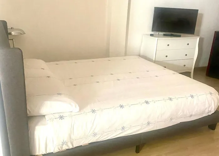 Monolocale Anna Viareggio