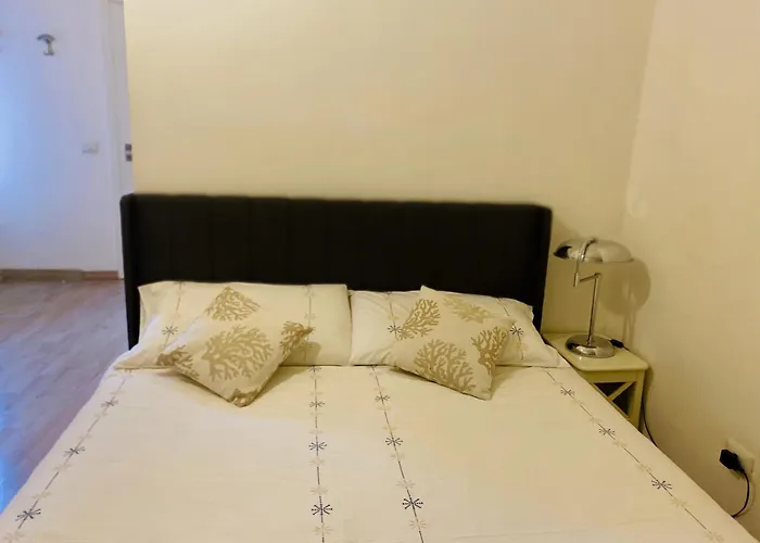 Monolocale Anna Viareggio